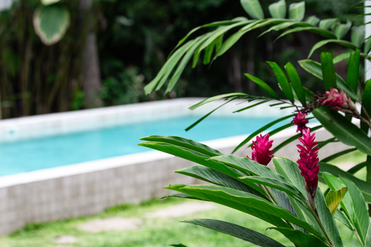 Villa Gaya Pool Flowers